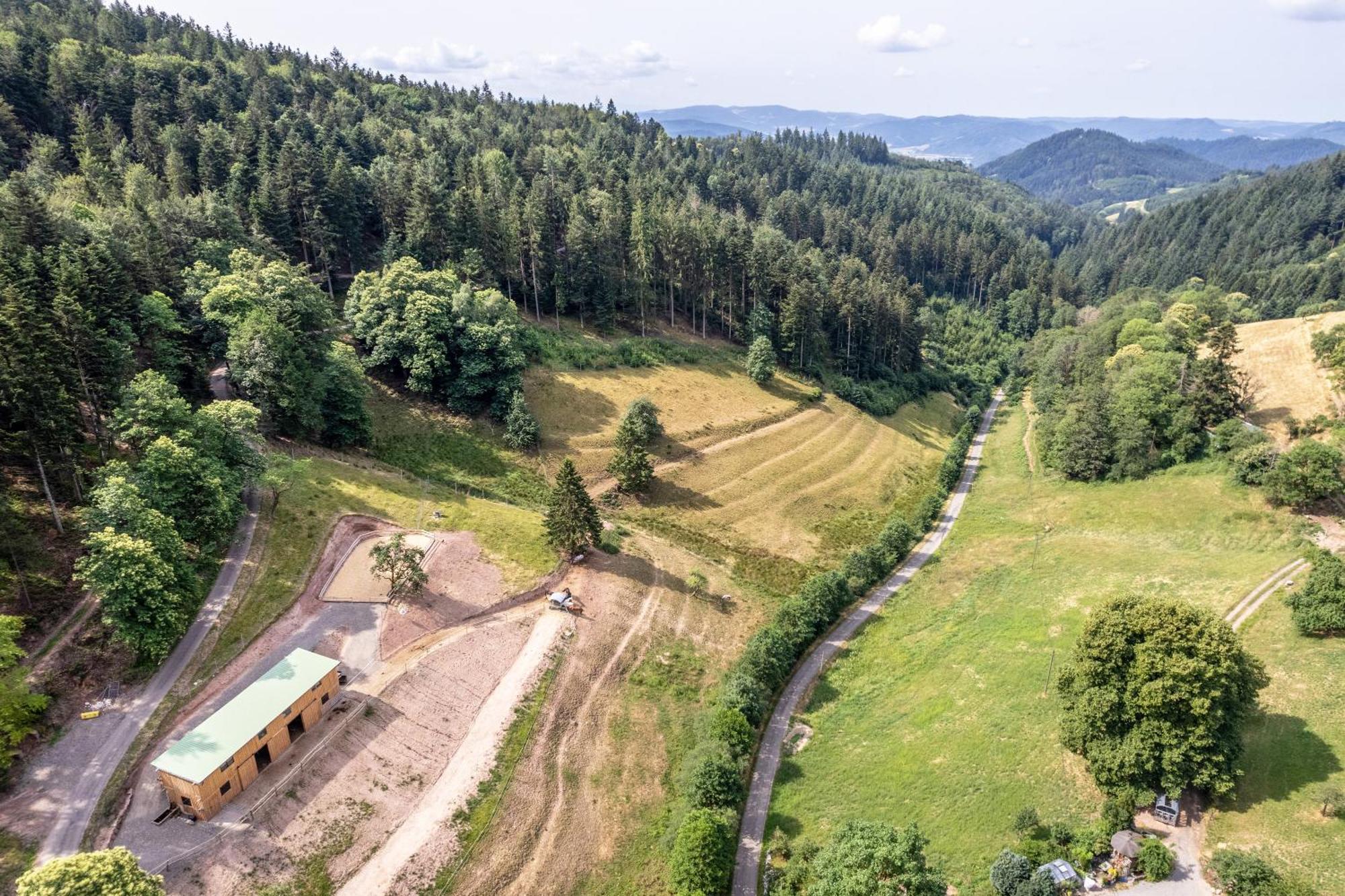 Ferienhaus Giessler Nordrach Εξωτερικό φωτογραφία